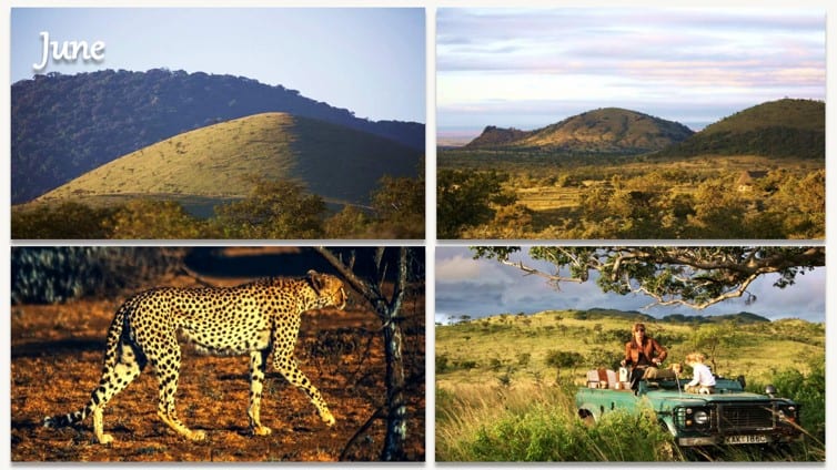 Kenya Safari in June