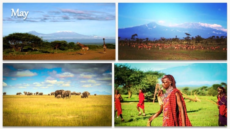 Kenya Safari in May